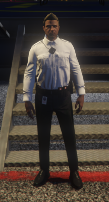 Chief Doctor (Trauma Team) Mann