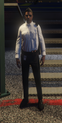 Senior Doctor (Trauma Team) Mann